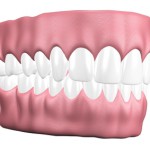 Okklusion - Kontakt der Zähne des Oberkeifers und des Unterkiefers